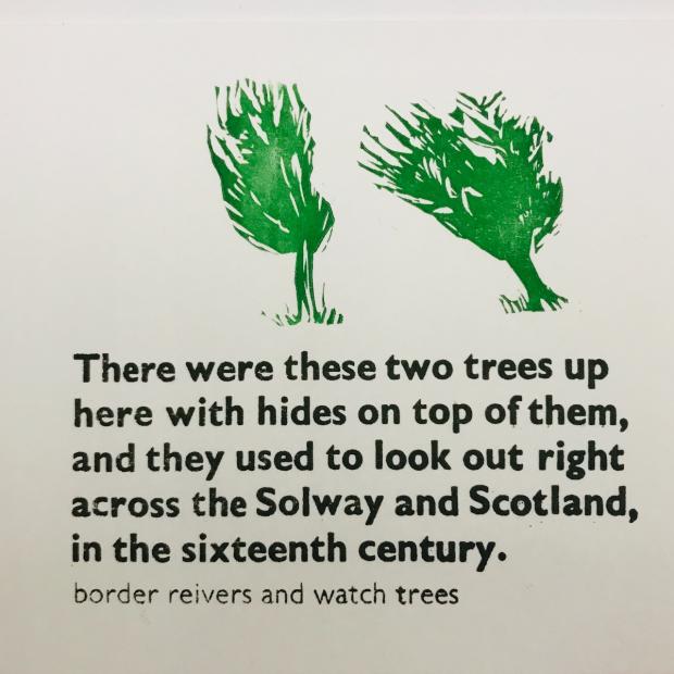 Whitehaven News: The two trees